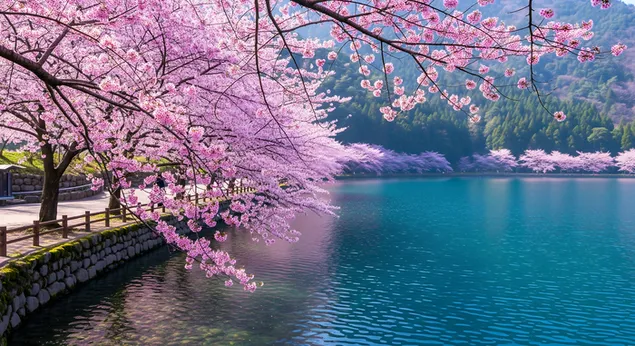 `tsy dvbdbn vrvdym pvrkhym lvrk gm kkhvl vshlyv, `ly hkvtrt htvssym shlhm mshtqpym bmym kshbrq` gb`vt myv`rvt rkhvqvt. hvrd