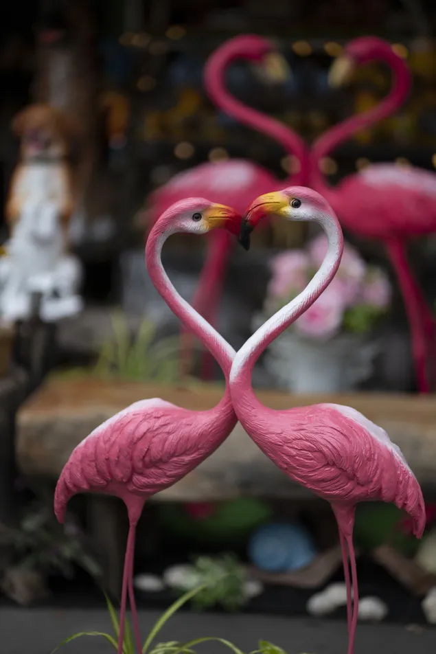 Flamingo merah muda mencintai hati unduhan