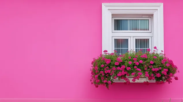 rosa husvagg med vit fonsterlada och blommor ladda ner