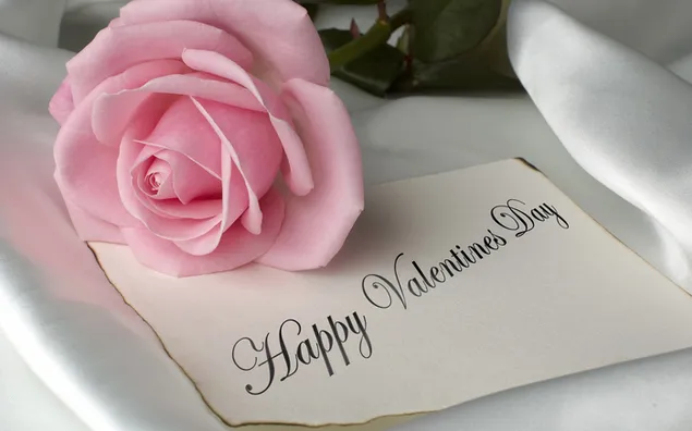 Pink rose and congratulation card for 14 February Valentine's Day celebration 2K wallpaper