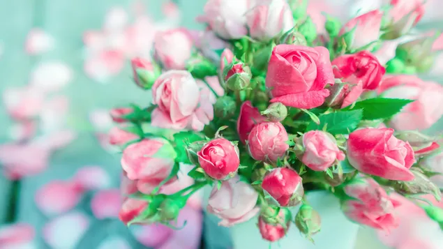 Blumenstrauß aus rosa Rosen 2K Hintergrundbild
