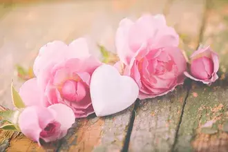 Roze rozen in een rustieke plank 4K achtergrond