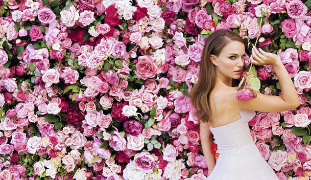 ピンクと赤のバラの背景と白いドレスのナタリーポートマン