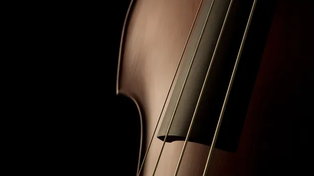 Đồng bằng Violin