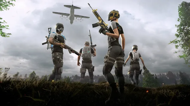 PlayerUnknown's Battlegrounds (PUBG Mobile) : Forest Battle Squad download