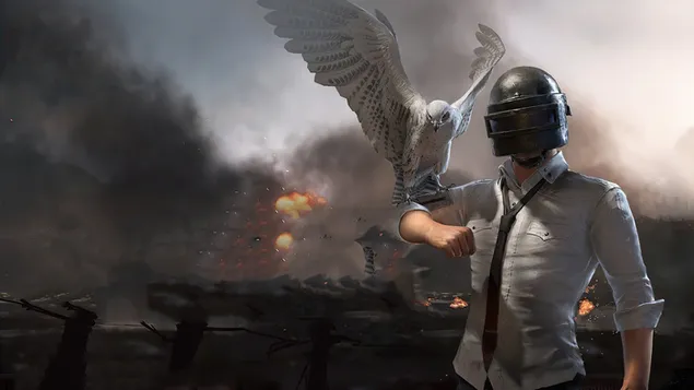 PlayerUnknown's Battlegrounds (PUBG Mobile) - Helmet Guy with Falcon Bird 4K 壁紙