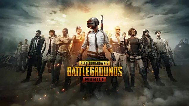 PlayerUnknown's Battlegrounds (PUBG Mobile) - personages download
