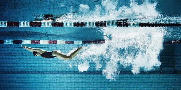 Plein van de zwemkampioenen die de race onder water voortzetten