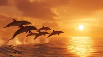 Stado delfinów skaczące nad oceanem o zachodzie słońca o złotej godzinie 2K tapeta