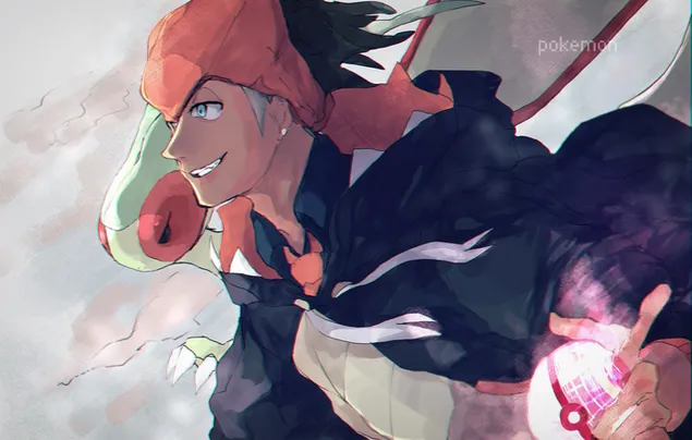 口袋妖怪：剑与盾 - Raihan Gym Leader 2K 壁纸