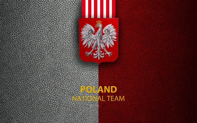 ポーランド代表サッカーチーム