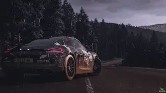 portica 911 nella foresta scarica
