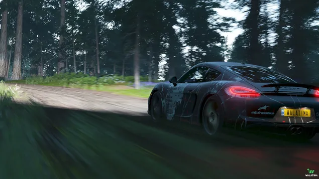 Porche Cayman in Forest