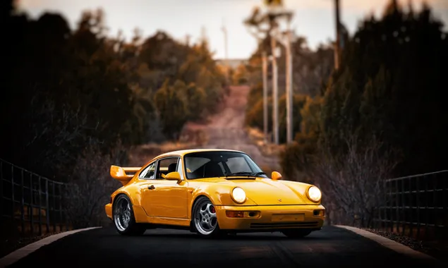  Porsche 911  sport car