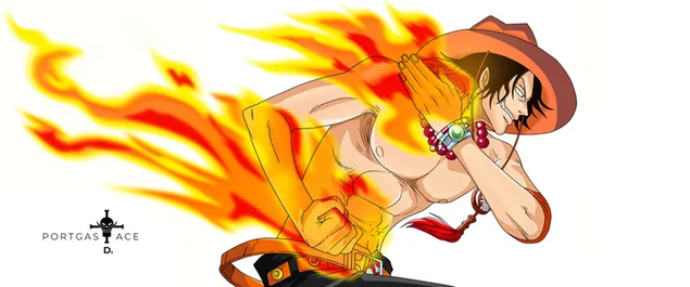 Portgas D. Ace fire attack - one piece