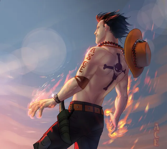 Portgas D. Ace hands burning - one piece