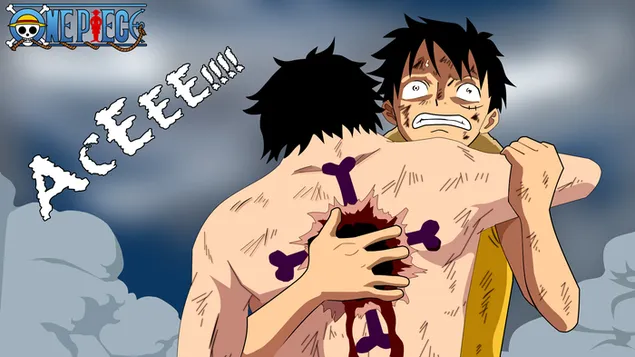 Portgas D. Ace 死了 - 一件 HD 壁紙