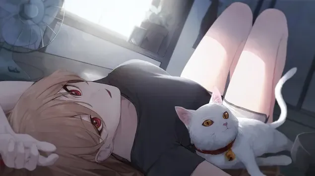 来自 Chainsaw man 的猫的力量 4K 壁纸