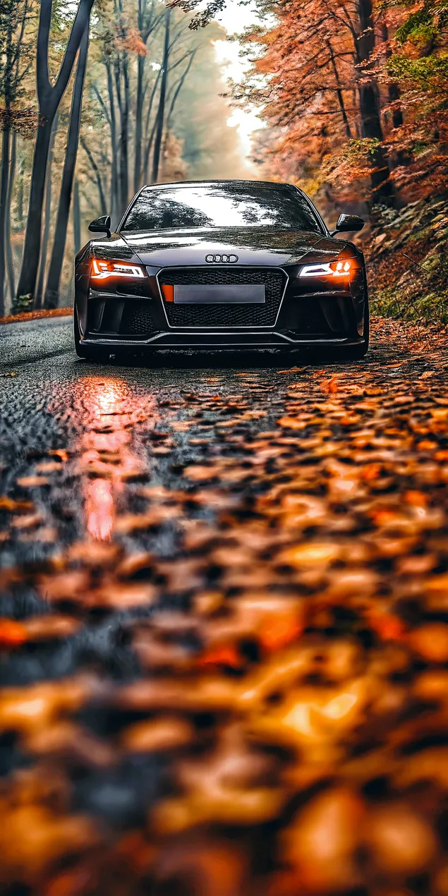 Mobil Hitam Tangguh Melintasi Jalan Hutan Musim Gugur yang Tertutup Daun 2K wallpaper