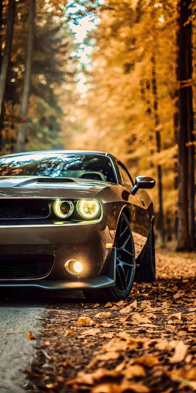 Kragtige Spiermotor Ry Deur Herfsbos Landskap 2K muurpapier