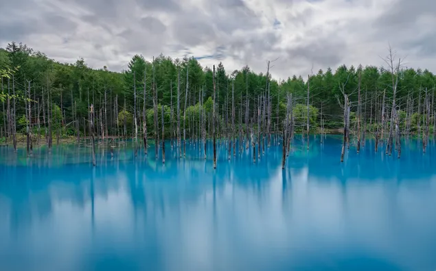 Páipéar balla Radharc álainn ar an loch4K