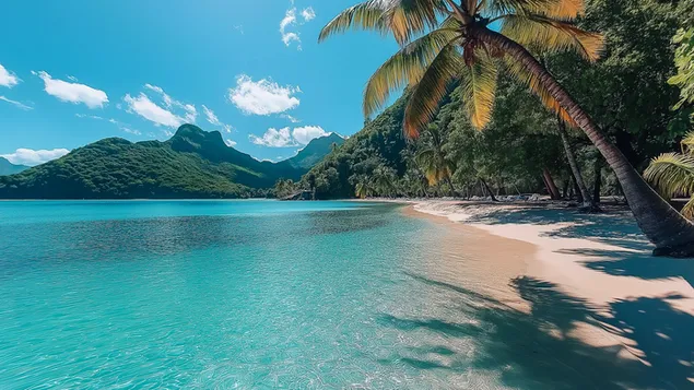 גן עדן בתולי ליד הים 2K טפט