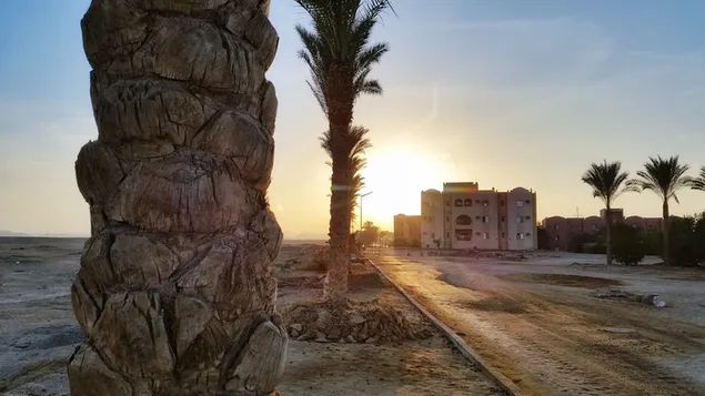 puesta de sol del desierto de egipto