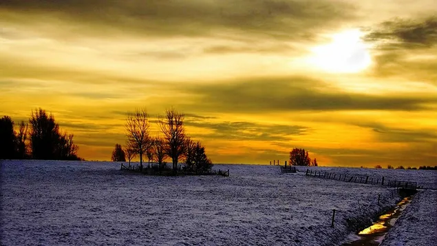 Puesta de sol dorada de invierno