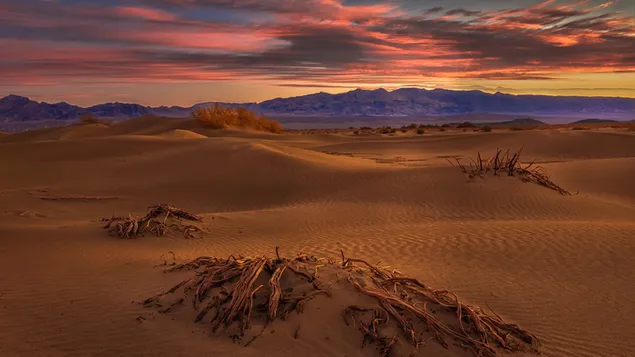 puesta de sol y desierto