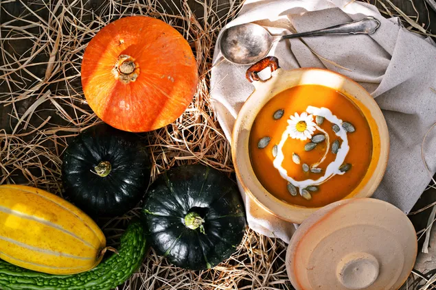 Pumpkin soup HD wallpaper download