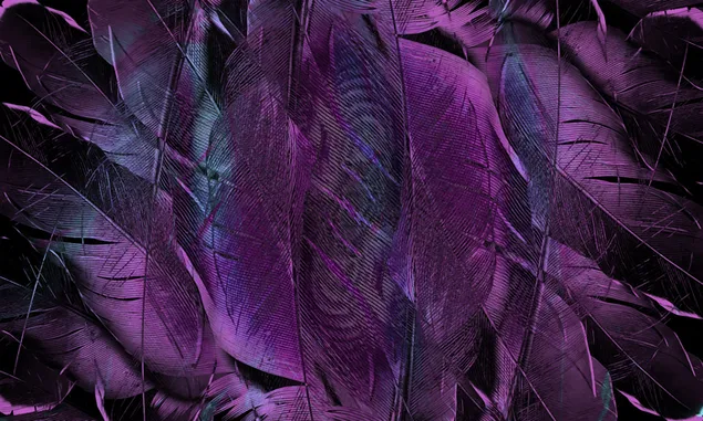 紫色の羽 ダウンロード
