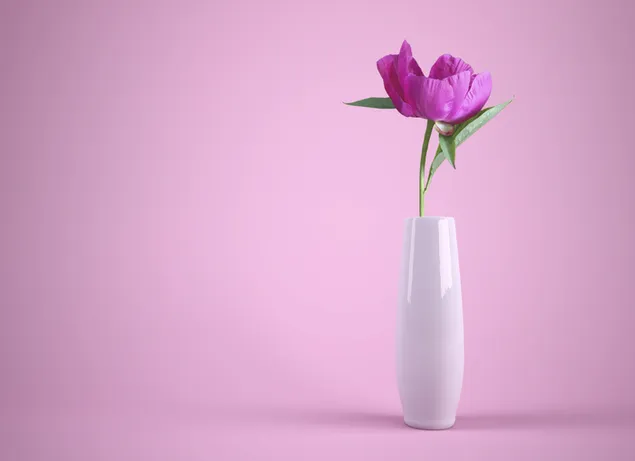 Flor rosa púrpura en un jarrón con fondo de papel tapiz rosa