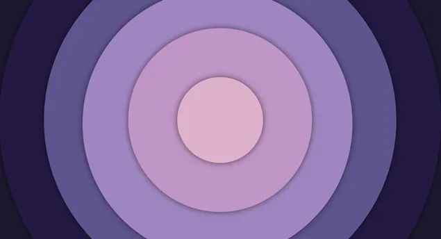 borasaeg ripeul daunrodeu