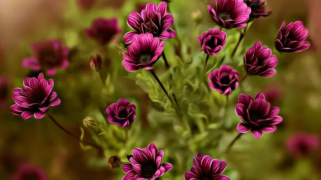 Purpurrote Blumen-Nahaufnahme