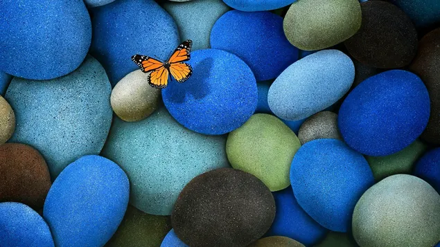 青と黒の色調の小石とオレンジ色の黒い蝶