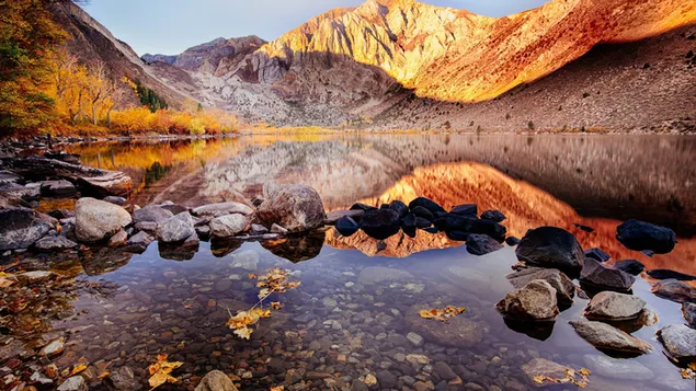 秋の風景の中の水中の石や岩の反射