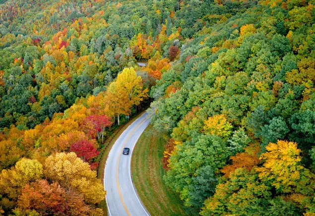 秋と夏の色で森を抜けるアスファルト道路の黒い車 ダウンロード
