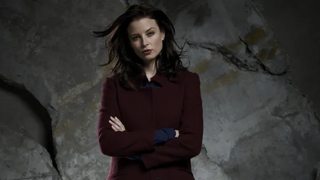 Рацхел Ницхолс 4K позадина