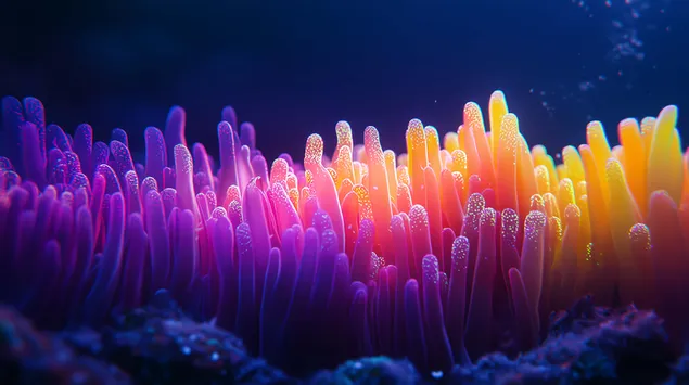 Сияещо легло от биолуминесцентни морски писалки в дълбините 4K тапет