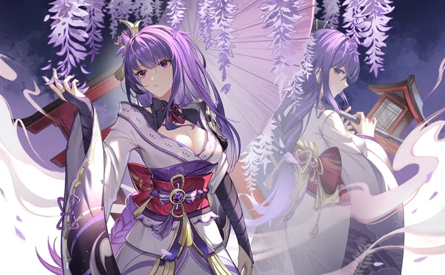 ظل رايدن ماكوتو خلف الأخت رايدن شوغون | تأثير جانشين 2K خلفية