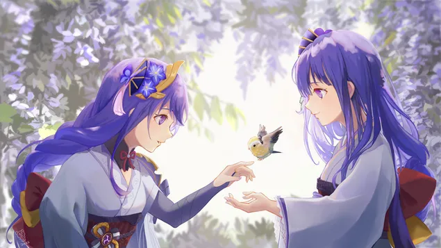 raidenovy sestry s ptackem | genshinuv dopad stahnout