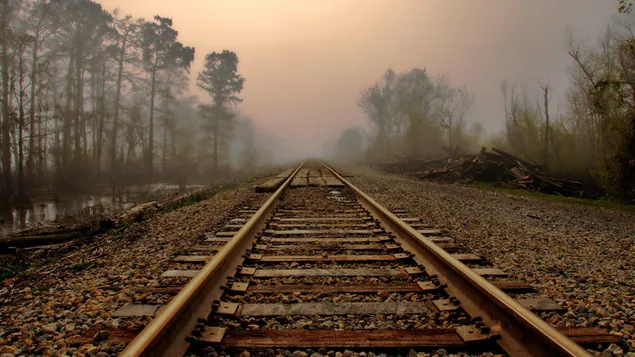 Vías de tren en la niebla HD fondo de pantalla