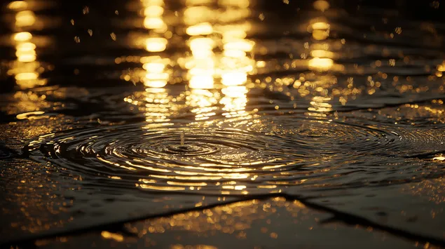 夜、地面の水たまりに波紋を作る雨粒 2K 壁紙
