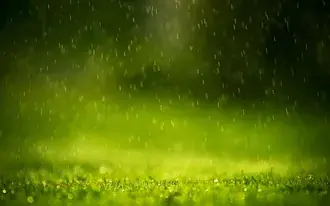 Tapeta Déšť v trávě HD