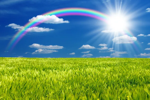 曇り空の日光に伸びる虹と芝生のフィールド ダウンロード
