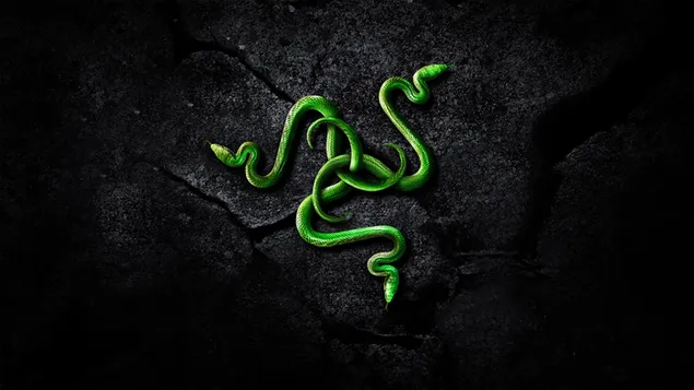 Razer inc snake background