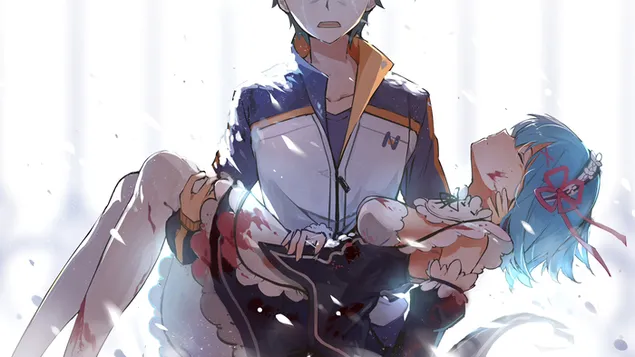 re:zero -starting life in another world - rem vsvbrv hvrd