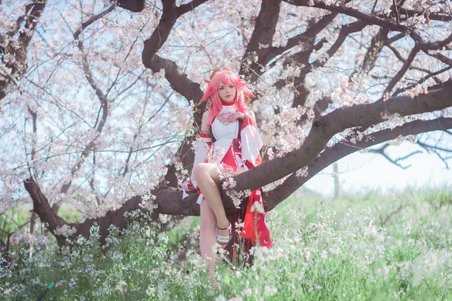 สาวอนิเมะตัวจริง Yae Miko กำลังนั่งอยู่บนกิ่งของต้นซากุระ | เก็นชิน อิมแพ็ค 4K วอลเปเปอร์