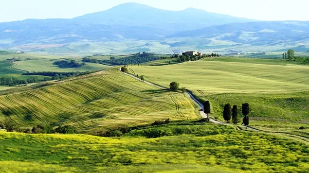 ferma e natyres se vertete shkarkim