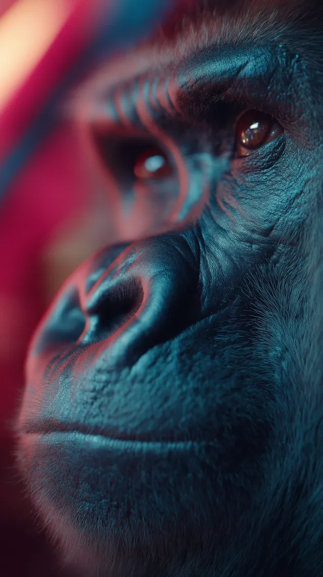 sasiljeogin gorilra eolgul keulrojeueob, geugjeogin jomyeong, yeongjangryu diteil daunrodeu